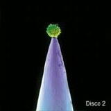 Peter Gabriel - New blood (Disco 2)
