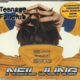 Teenage Fanclub - Neil Jung