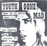 Youth Gone Mad - Why Is It Still Hard?