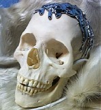 Flaming Lips - 7 Skies H3 (The 24 Hour Song Skull)
