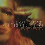 Baby Bird - The Pleasures of Self Destruction