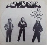 Budgie - If Swallowed Do Not Induce Vomiting