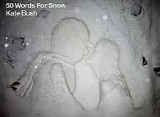Kate Bush - 50 Words For Snow