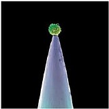 Peter Gabriel - New Blood