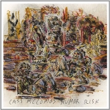 Cass McCombs - Humor Risk