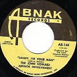 The John Howard Abdnor Involvement - Sandy, I'm Your Man/I'll Come Running To You (US)
