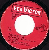 The Archies - Feelin' So Good (S.K.O.O.B.Y.-D.O.O.)/Love Light (Canada)