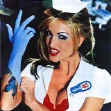 Blink-182 - Enema Of The State