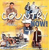 Brad Paisely - Country Now [Simitar]