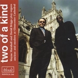 David Briggs and Wayne Marshall - Two of a Kind