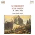 JenÃ¶ JandÃ³ - piano - Piano Sonatas D784 and D894