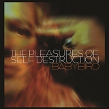 Babybird - The Pleasures Of Self Destruction