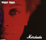 morcheeba - trigger hippie