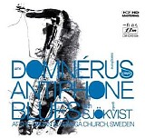 Arne DomnÃ©rus - Antiphone Blues