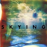 The Horrors - Skying