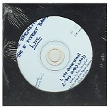 Bruce Springsteen - My Hometown, This Hard Land : Live At Madison Square Garden June 29th 2000