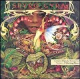 Spyro Gyra - Morning Dance @160