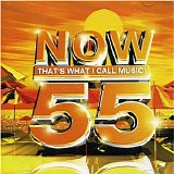 Various artists - Now That's What I Call Music! 55