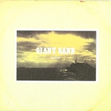Giant Sand - Swerve