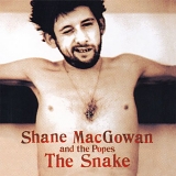Shane MacGowan And The Popes - The Snake