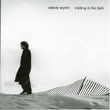 Steve Wynn - Melting In The Dark