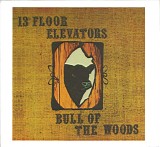 The 13th Floor Elevators - Bull Of The Woods