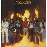 Lynyrd Skynyrd - Street Survivors