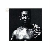 Muddy Waters - After the Rain