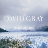 David Gray - Live In Slow motion