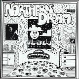 Bill Nelson - Northern Dream