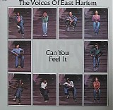 The Voices Of East Harlem - Can You Feel It