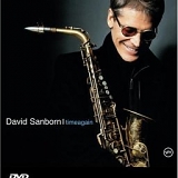 David Sanborn - David Sanborn: Timeagain