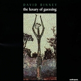 David Binney - The Luxury of Guessing