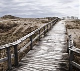 From Oceans To Autumn - Equanimity