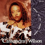 Cassandra Wilson - Dance To The Drums Again