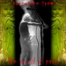 Porcupine Tree - The Sound Of Paris