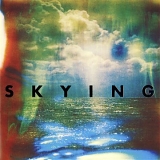 The Horrors - Skying