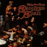 Steeleye Span - Below The Salt