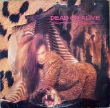 Dead Or Alive - Sophisticated Boom Boom