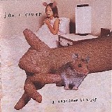 Sonic Youth - A Thousand Leaves