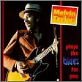 Melvin Taylor - Melvin Taylor plays the blues