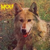 Darryl Way's Wolf - Canis Lupus