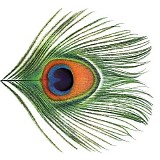 XTC - Apple Venus Volume 1