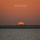 Wooden Shjips - Remixes