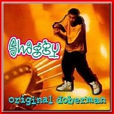 Shaggy - Original doberman