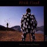 Pink Floyd - Delicate Sound Of Thunder