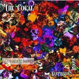 The Coral - Butterfly House