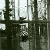 Paul McCartney - Chaos And Creation In The Backyard