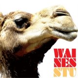 Waines - STU