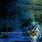Various artists - Sometimes God Hides: The Young Persons' Guide To Discipline